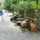 zdjęcie nr 38