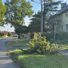 zdjęcie nr 22