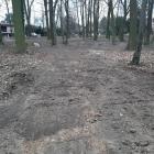 zdjęcie nr 7