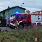 Fotka nr 2 z 6