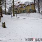 Fotka nr 4 z 12