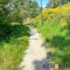 Fotka nr 5 z 12