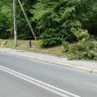 zdjęcie nr 36