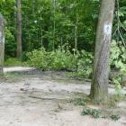 zdjęcie nr 88