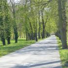 zdjęcie nr 65
