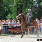 zdjęcie nr 23