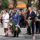 zdjęcie nr 26