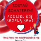 Fotka nr 0 z 1