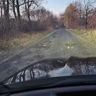 zdjęcie nr 16
