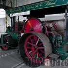 Fotka nr 4 z 15