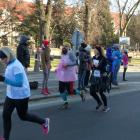 zdjęcie nr 75