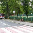 zdjęcie nr 27