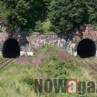 zdjęcie nr 13