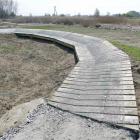 zdjęcie nr 10