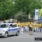 zdjęcie nr 13