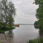 zdjęcie nr 8