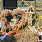 zdjęcie nr 45