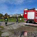 Fotka nr 4 z 12