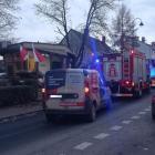 Fotka nr 1 z 16
