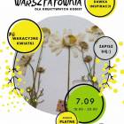 Fotka nr 1 z 4