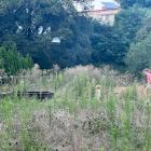 Ze sprzętów pozostała rozwalająca się, zarośnięta piaskownica.
