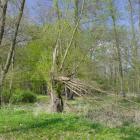 zdjęcie nr 47