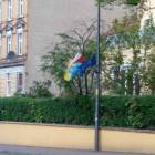 zdjęcie nr 11