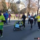 zdjęcie nr 74