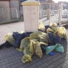 zdjęcie nr 7