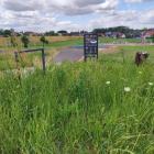 Fotka nr 0 z 8