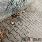 Fotka nr 0 z 1