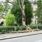 zdjęcie nr 37