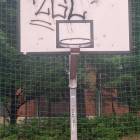 Fotka nr 2 z 13