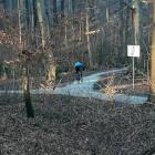zdjęcie nr 14