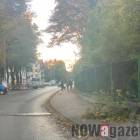 Mnóstwo gałęzi spadało na chodniki