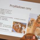 zdjęcie nr 15