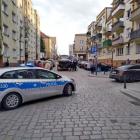 Fotka nr 1 z 5