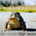 zdjęcie nr 8
