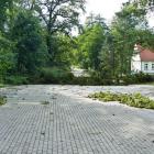 zdjęcie nr 100