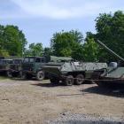 Fotka nr 2 z 8