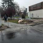 zdjęcie nr 13