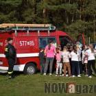 Fotka nr 3 z 12