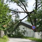 zdjęcie nr 72