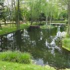 zdjęcie nr 8