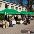 zdjęcie nr 17