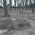 zdjęcie nr 8
