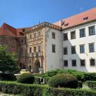 zdjęcie nr 7
