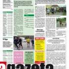 zdjęcie nr 29