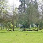 zdjęcie nr 9