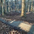 zdjęcie nr 8